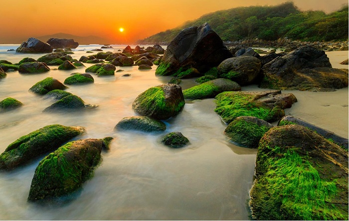 Top 10 cảnh đẹp thiên nhiên ở đà nẵng Khám phá vẻ đẹp trời đất tại Đà Nẵng