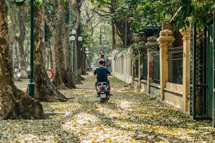 Top 5 cung đường đẹp nhất mùa Thu Hà Nội - Văn phòng Du Lịch Khám Phá Huế